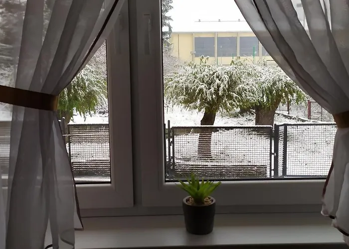 Kamil W Centrum カルパッチ