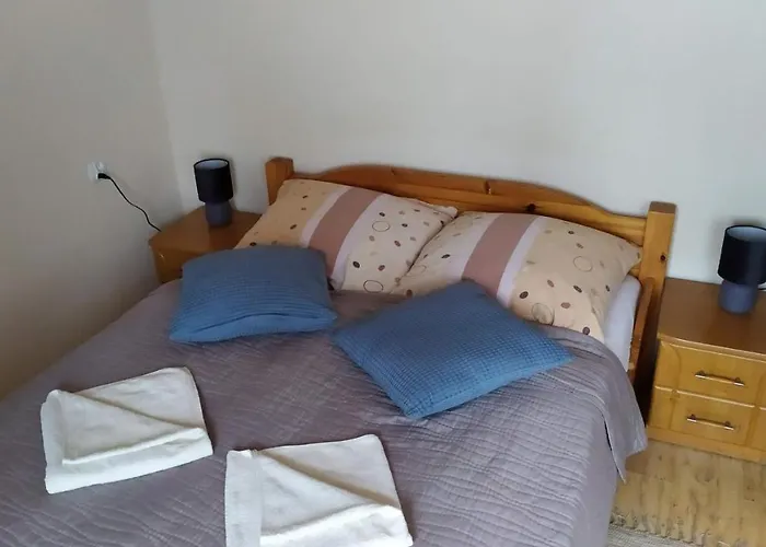 ホームステイ Kamil W Centrum カルパッチ