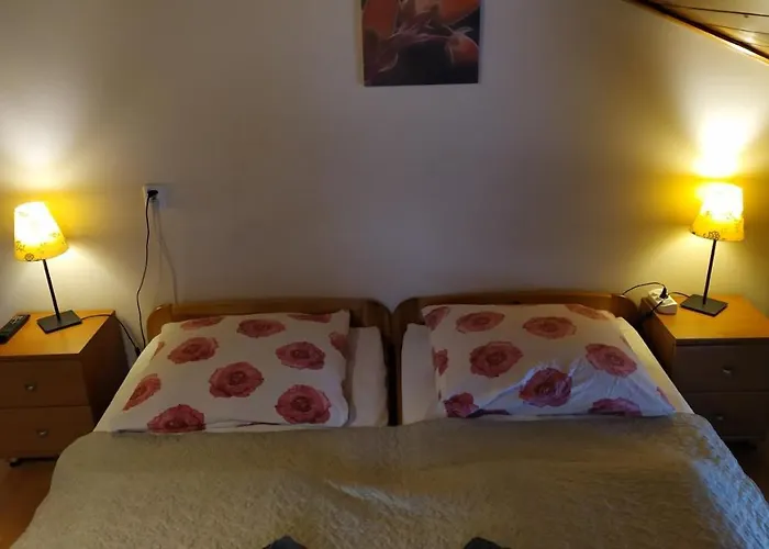 Kamil W Centrum ホームステイ カルパッチ