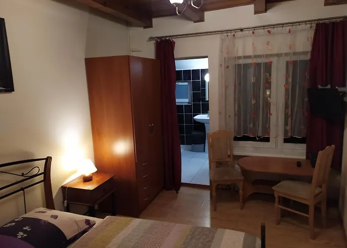 Kamil W Centrum ホームステイ