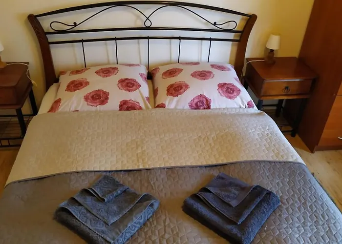 ホームステイ Kamil W Centrum カルパッチ